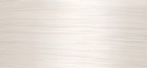 color swatch blonde life demi gloss 12N
